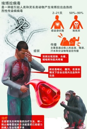 揭开伊波拉病毒的秘密